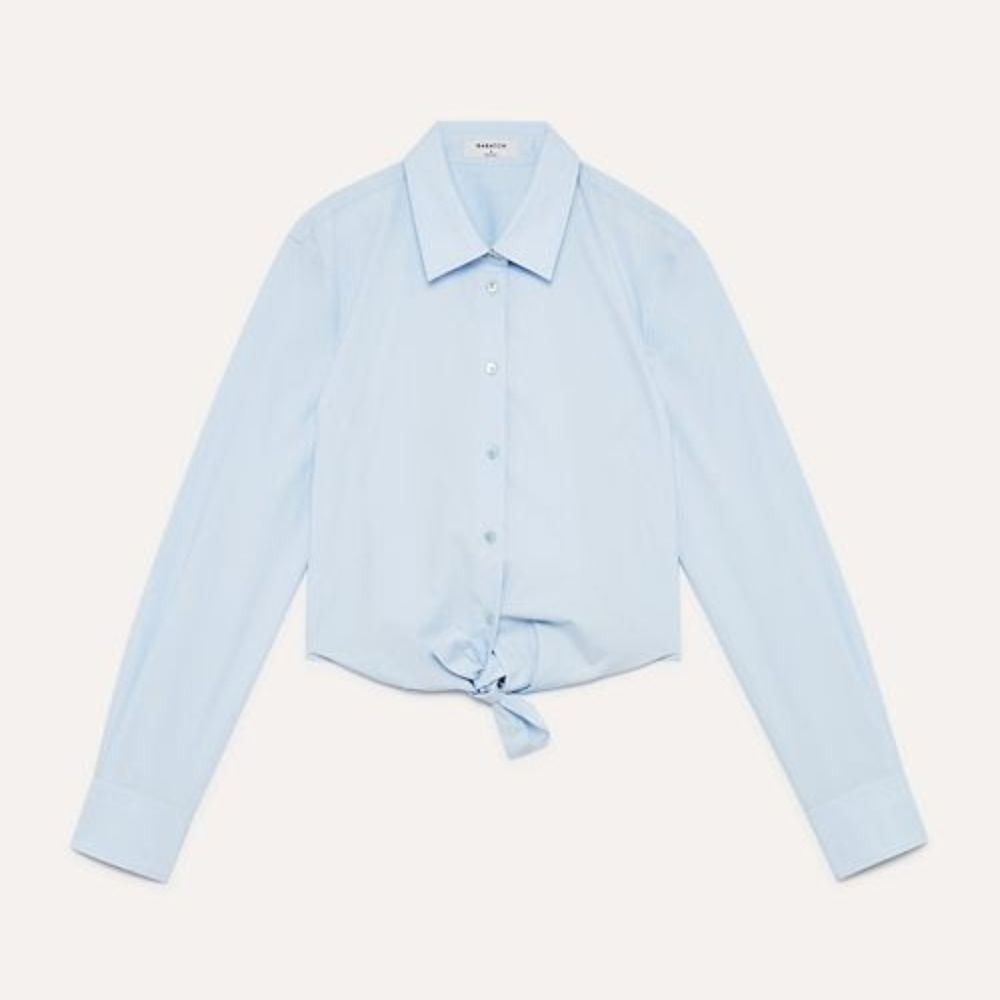 Aritzia Babaton Kanika Shirt
